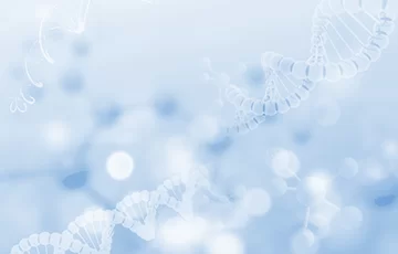 Market Opportunity Study:Pool Chemial market